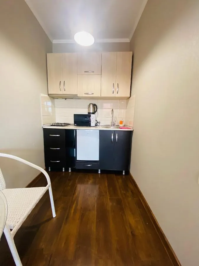 9 Borbalo Street Apartment With Terrace Tbilisi