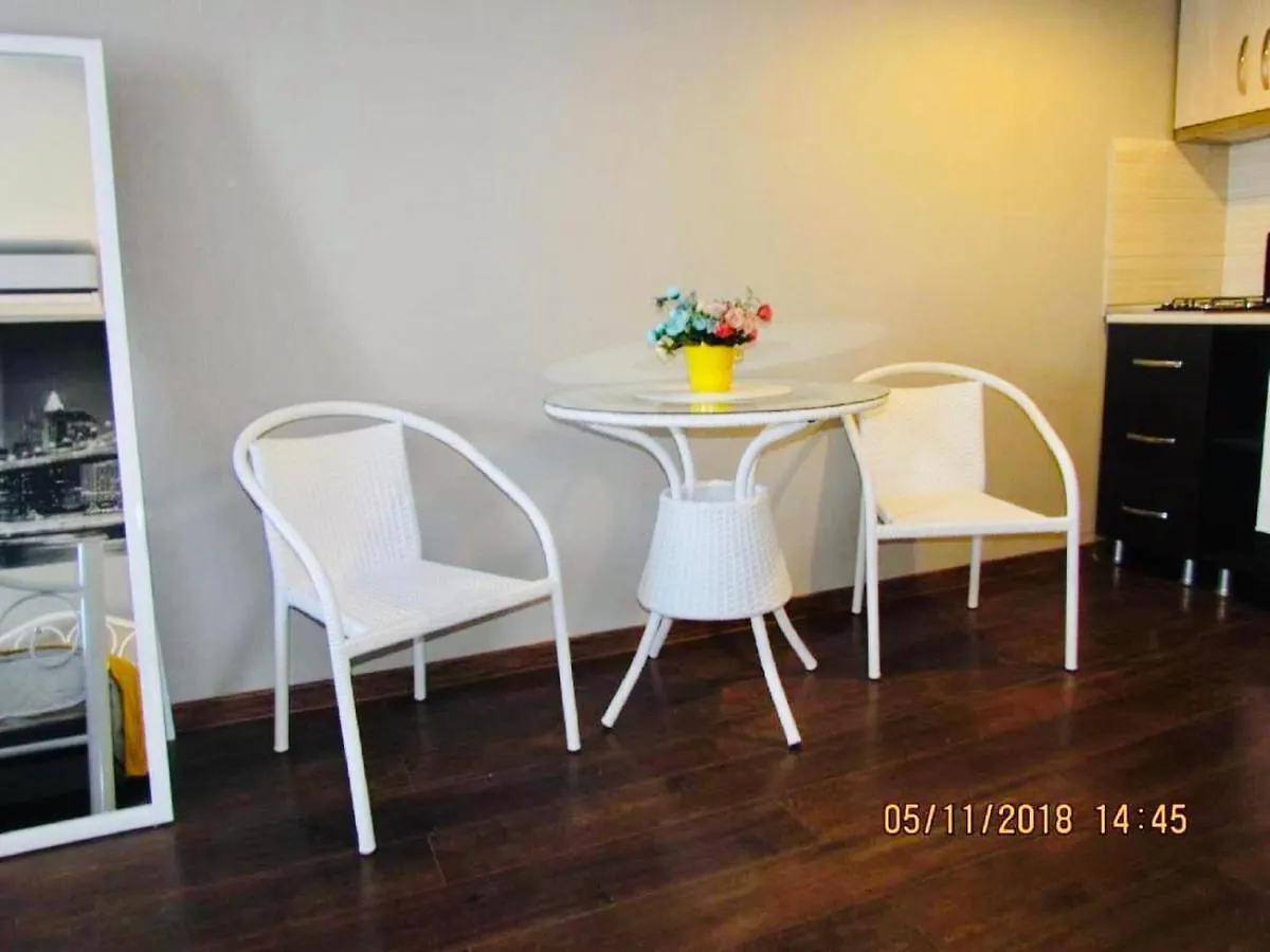 9 Borbalo Street Apartment With Terrace Tbilisi